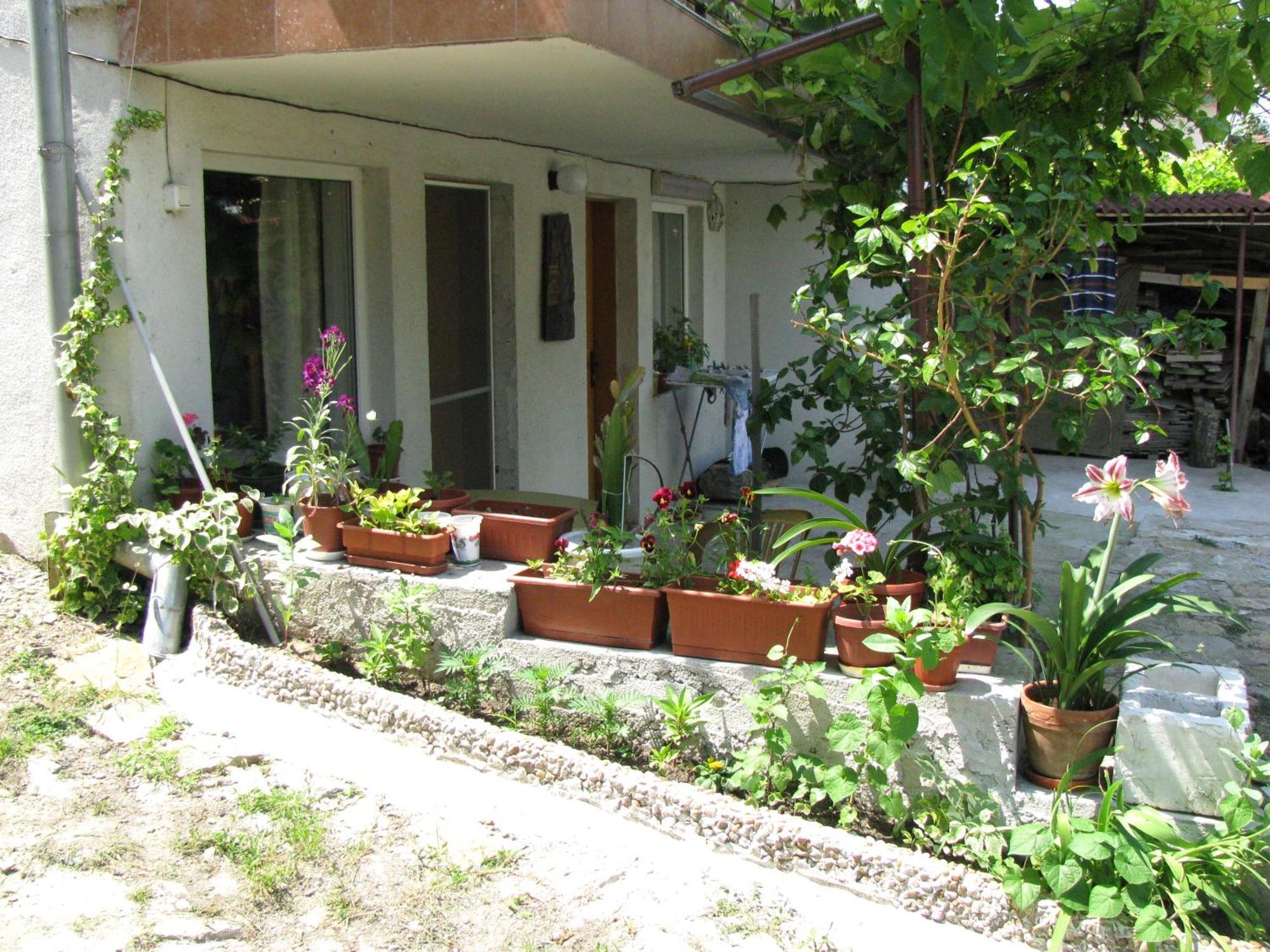 Guest House Familia Samovodene Buitenkant foto