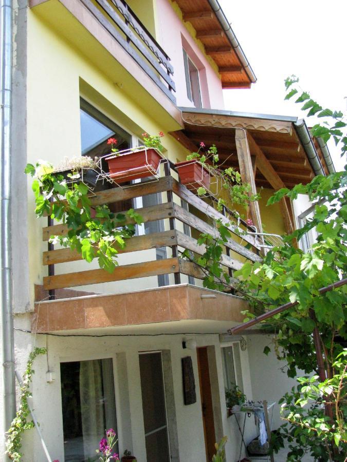Guest House Familia Samovodene Buitenkant foto